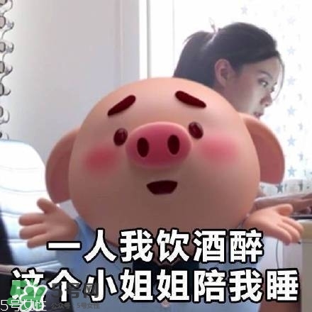 豬小屁多少錢一個？豬小屁哪里可以買到