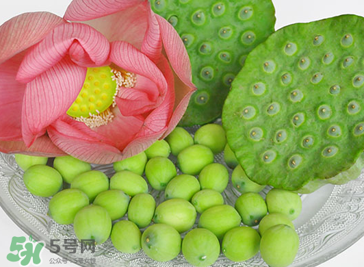 蓮蓬是水果嗎？蓮蓬是水果還是蔬菜？