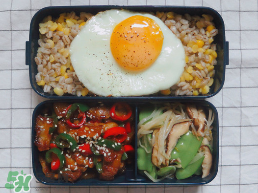 夏天用保溫盒帶飯會(huì)壞嗎？夏天能用保溫盒帶飯嗎？