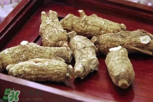 西洋參補腎嗎？西洋參適合什么季節(jié)吃