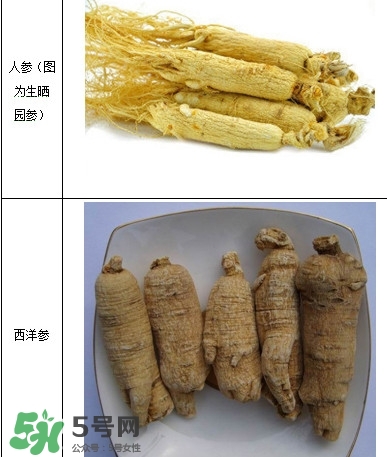 西洋參怎么吃效果最好？西洋參與人參的區(qū)別