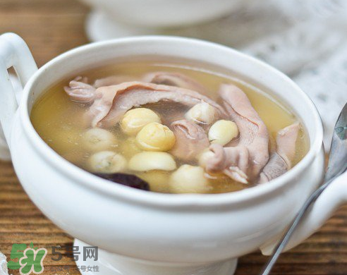 新鮮蓮子可以燉湯嗎？新鮮蓮子怎么煲湯？