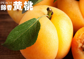 黃桃和香蕉能一起吃嗎？ 香蕉可以和黃桃一起吃嗎？