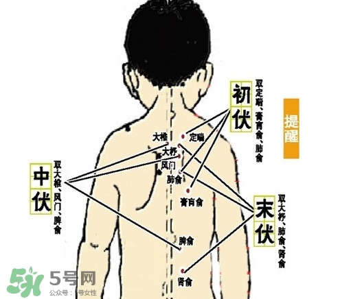 三九灸和三伏灸有什么區(qū)別？做完三伏灸要注意什么？