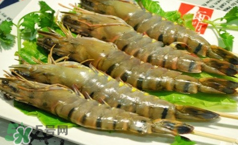 斑節(jié)蝦是九節(jié)蝦嗎？斑節(jié)蝦和九節(jié)蝦的區(qū)別