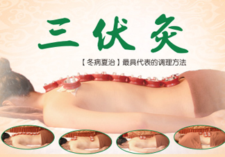三伏灸灸哪里？三伏灸是每天都灸嗎