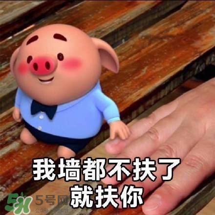 豬小屁表情包是什么？豬小屁表情包為什么這么火？