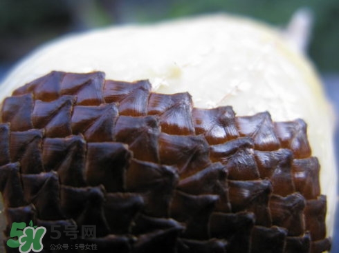 蛇皮果能生吃嗎？蛇皮果能放冰箱嗎？