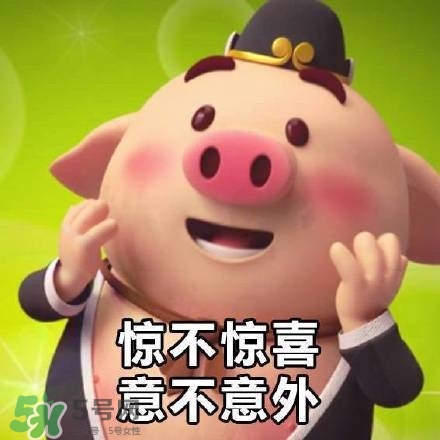 豬小屁表情包是什么？豬小屁表情包為什么這么火？