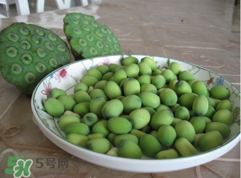 新鮮蓮子多少錢一斤？新鮮蓮子哪里有賣？