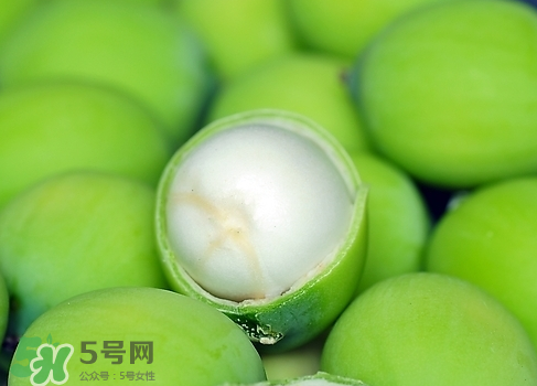 新鮮蓮子多少錢一斤？新鮮蓮子哪里有賣？