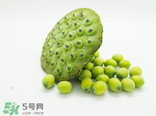 新鮮蓮子可以直接吃嗎？生蓮子可以直接吃嗎？