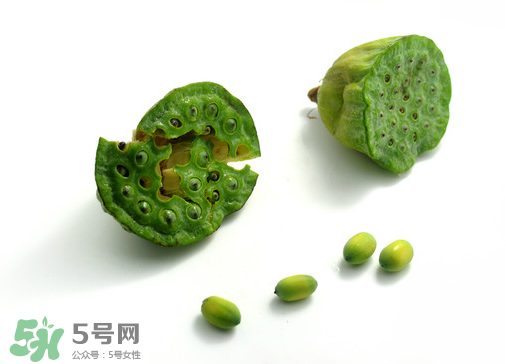 新鮮蓮子可以直接吃嗎？生蓮子可以直接吃嗎？