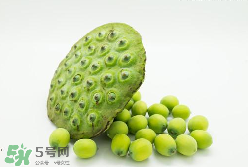 新鮮蓮子可以直接吃嗎？生蓮子可以直接吃嗎？