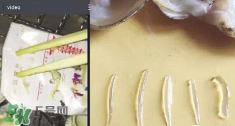 蜆子肉里白色長條東西是什么？蜆子肉里面透明的能吃嗎