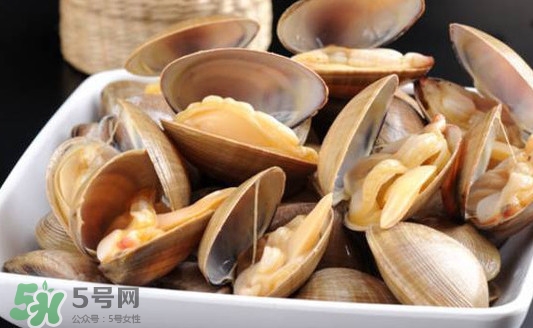 黃蜆子多少錢一斤？河蜆子多少錢一斤