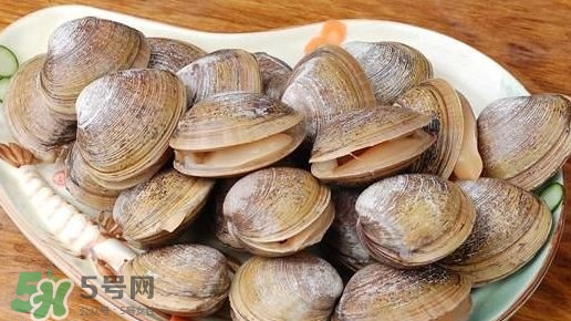 蜆子是蛤蜊嗎？蜆子和文蛤怎樣區(qū)別