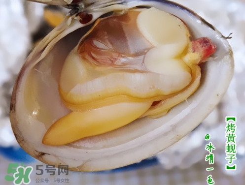 蜆子什么樣的是活的？蜆子開口是死還是活
