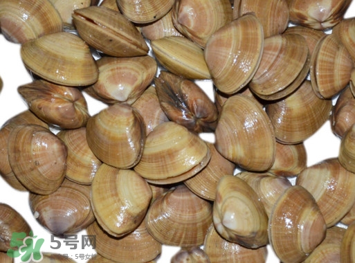 蜆子是花甲嗎？蜆子是海鮮嗎？