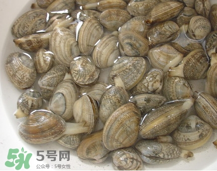 蜆子死了還能吃嗎？蜆子死了多久不能吃