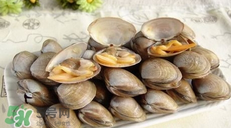 蜆子是寒性的嗎？蜆子什么人不能吃