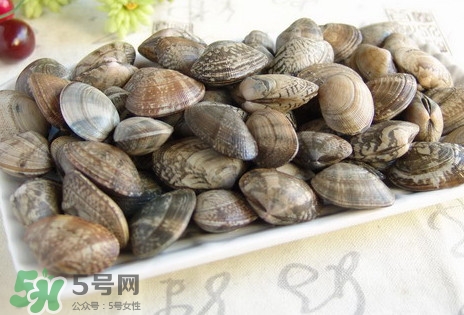 黃蜆子和花蜆子哪個好？黃蜆子和花蜆子的區(qū)別