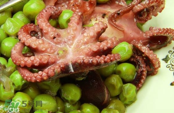 八爪魚多少錢一斤？章魚多少錢一斤