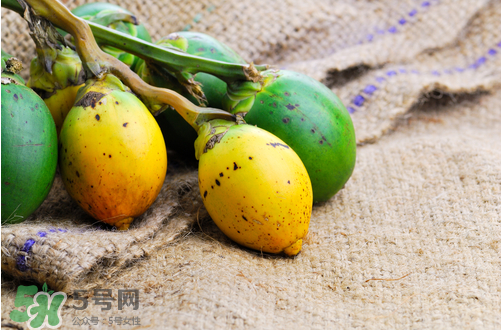 檳榔什么味道？正宗的檳榔是什么味道？
