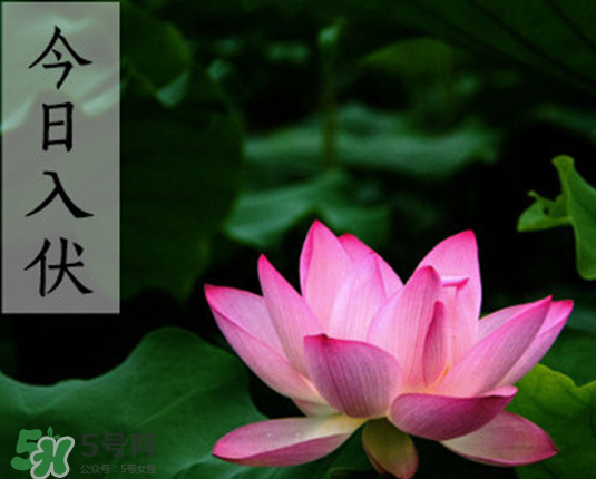 2017年頭伏是幾月幾號(hào)？2017年入伏第一天是幾月幾號(hào)？