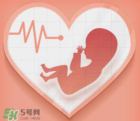 胎心儀可以天天用嗎？胎心儀的使用頻率