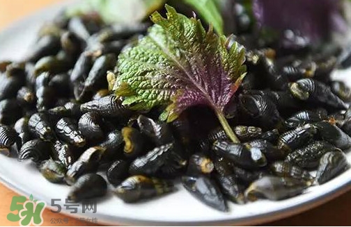 紫蘇是什么植物？紫蘇是發(fā)物嗎？