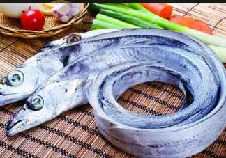 帶魚(yú)為什么都是死的？帶魚(yú)為什么出水就死？