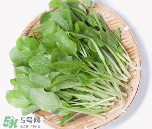 雞毛菜有什么營(yíng)養(yǎng)價(jià)值？雞毛菜的功效與作用