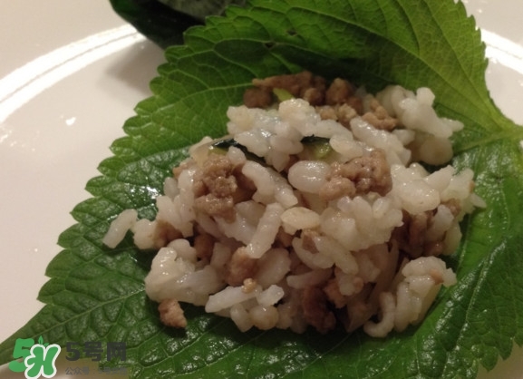 紫蘇和羅勒是一種東西嗎？紫蘇葉對(duì)人體有什么好處