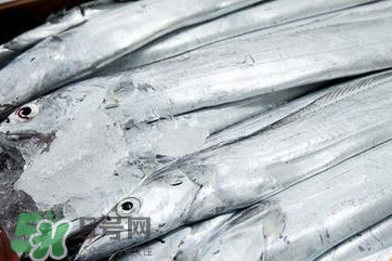 帶魚是深海魚嗎？帶魚是海鮮嗎