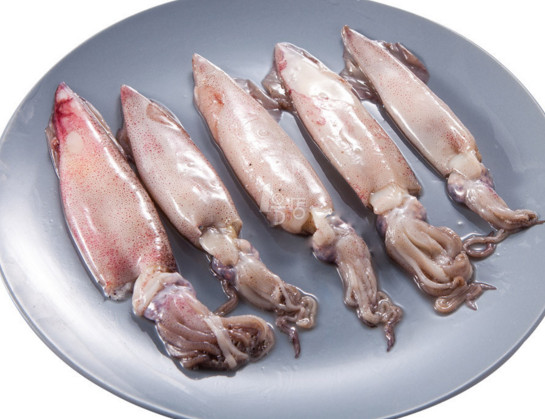 章魚是魷魚嗎？章魚和魷魚有什么區(qū)別