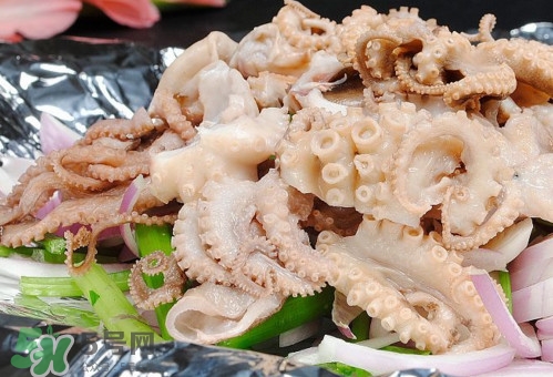 八爪魚(yú)是魷魚(yú)嗎？八爪魚(yú)是章魚(yú)嗎