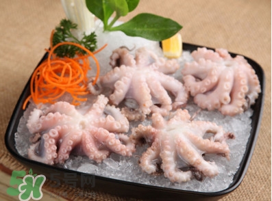 八爪魚可以生吃嗎？八爪魚生吃有寄生蟲嗎