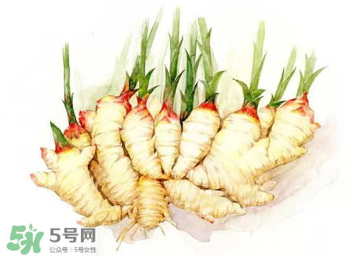 7月份可以種生姜嗎？生姜幾月份種植？