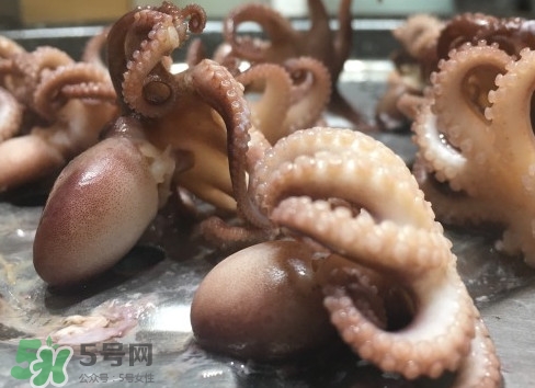 八爪魚怎么做好吃？八爪魚怎么保存