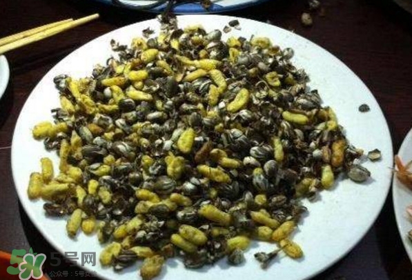 洋辣子是什么？洋辣子能吃嗎？