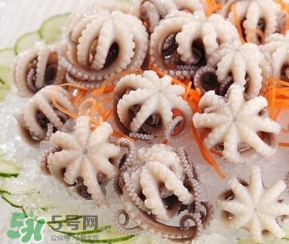八爪魚為什么有大米？八爪魚為什么有墨汁