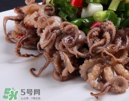 八爪魚怎么做好吃？八爪魚怎么保存