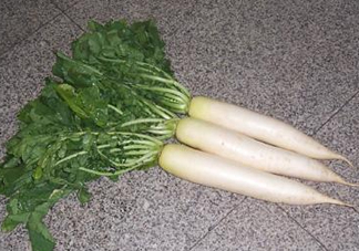頭伏蘿卜二伏菜是什么意思？頭伏種什么菜？