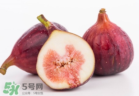 無花果喜陽還是喜陰植物？無花果吃多會怎么樣