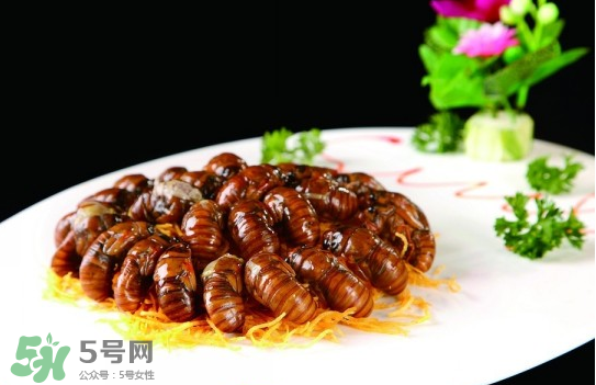 知了猴孕婦可以吃嗎？孕婦能吃知了猴嗎？