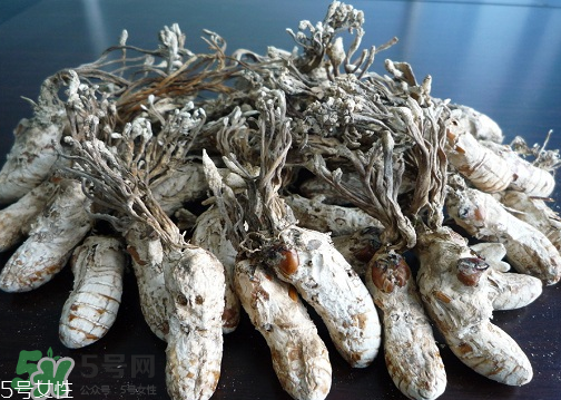 金蟬花多少錢一斤？2017金蟬花價格
