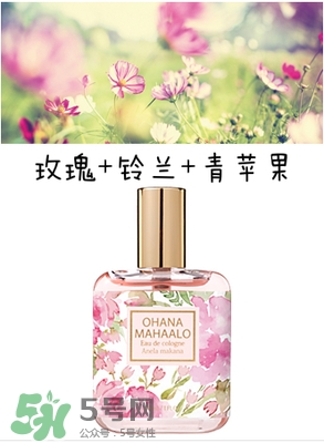 ohana mahaalo香水是什么牌子？ohana mahaalo在哪買？