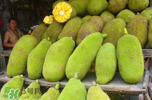 木菠蘿買來怎么吃？木菠蘿吃多了會怎樣？