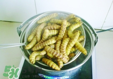 豆丹做菜前怎么處理干凈？豆丹怎么養(yǎng)殖
